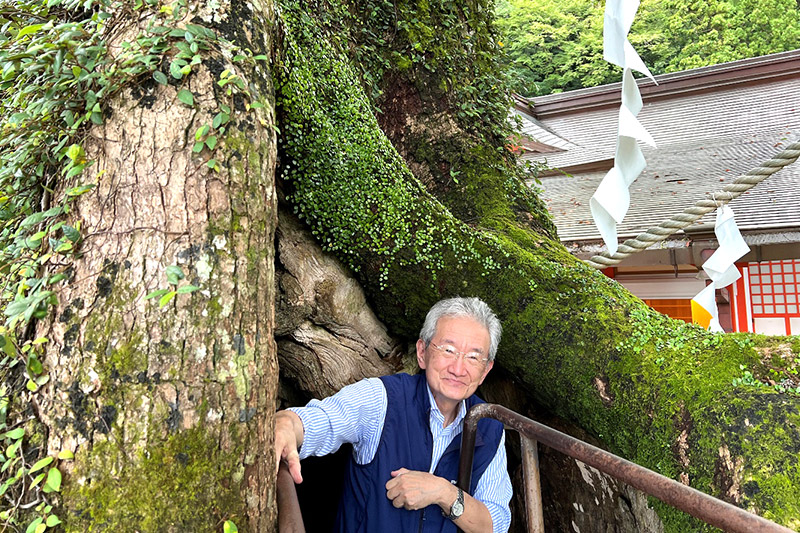 熊野那智大社・大樟（オオクス）胎内くぐりの様子（外から）