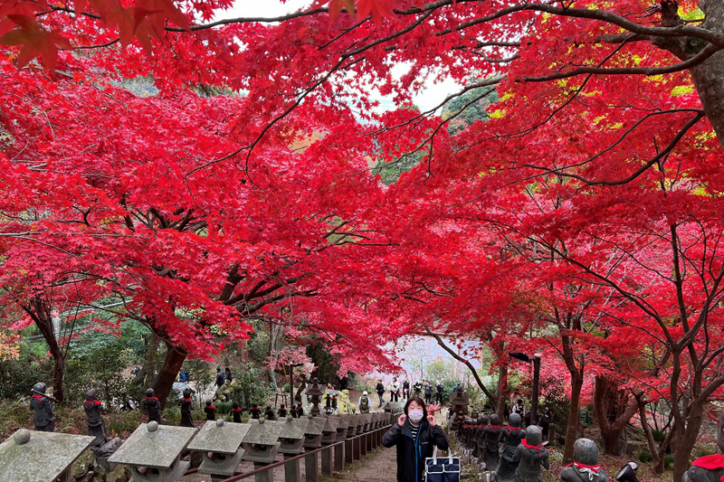 大山寺参道の紅葉