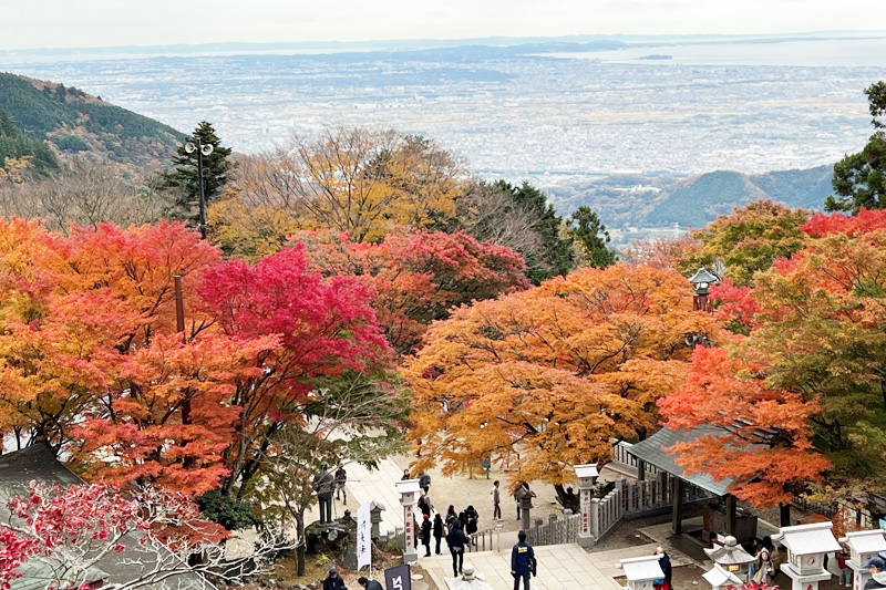 阿夫利神社からの眺望