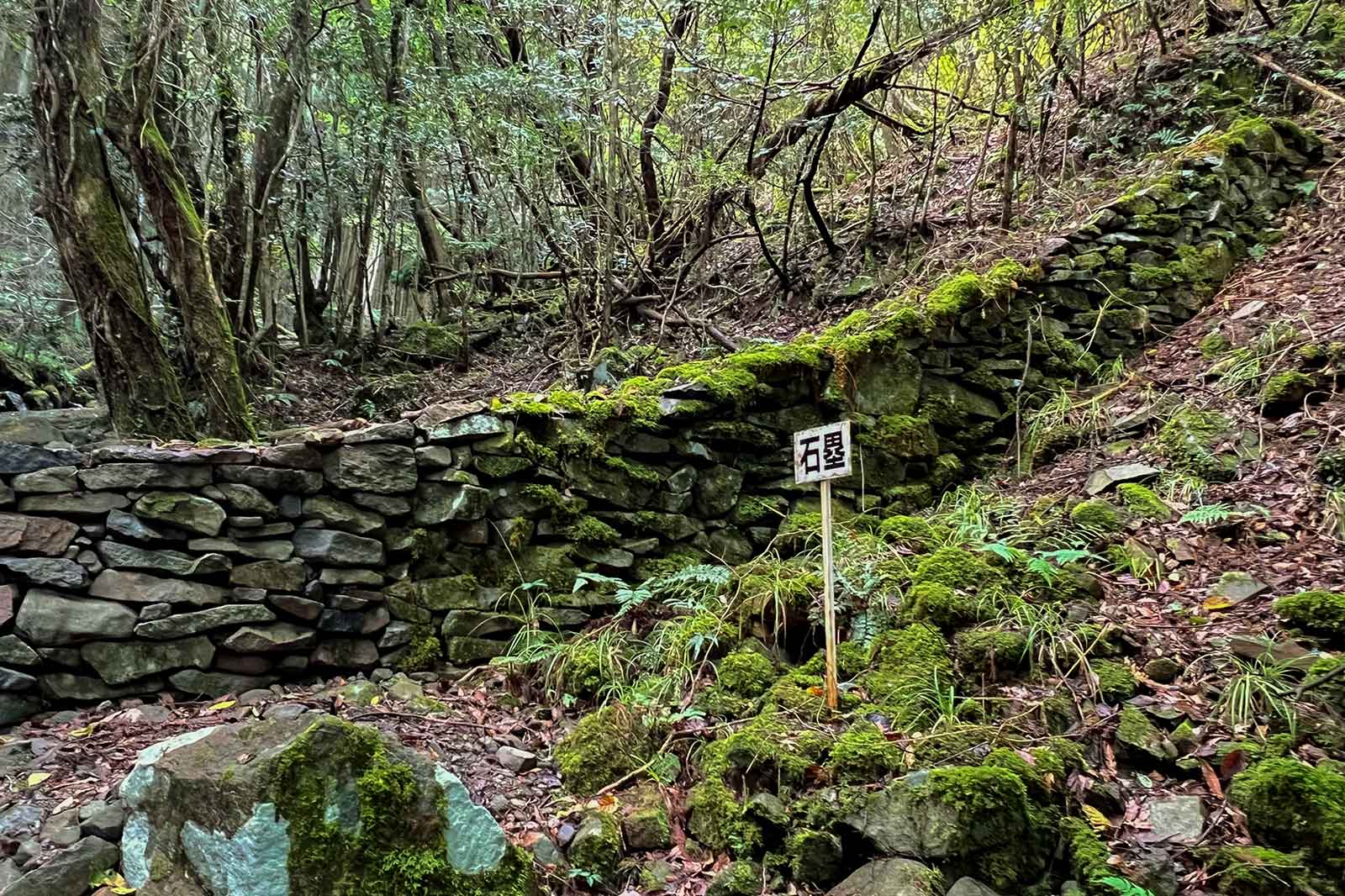 二之城戸の石塁、なべもと谷の沢の左右を守っている。