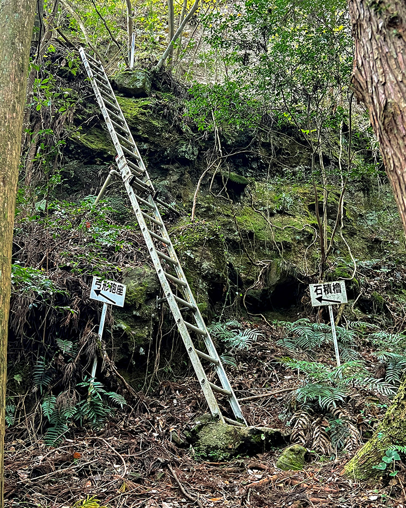 熊野川河岸の岸壁